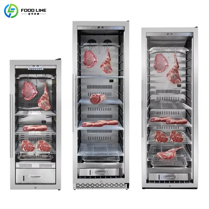 Customized Dry Aging Refrigerator Commercial Large Capacity Dry Ager Stainless Steel Meat Curing Cabinet for Restaurant