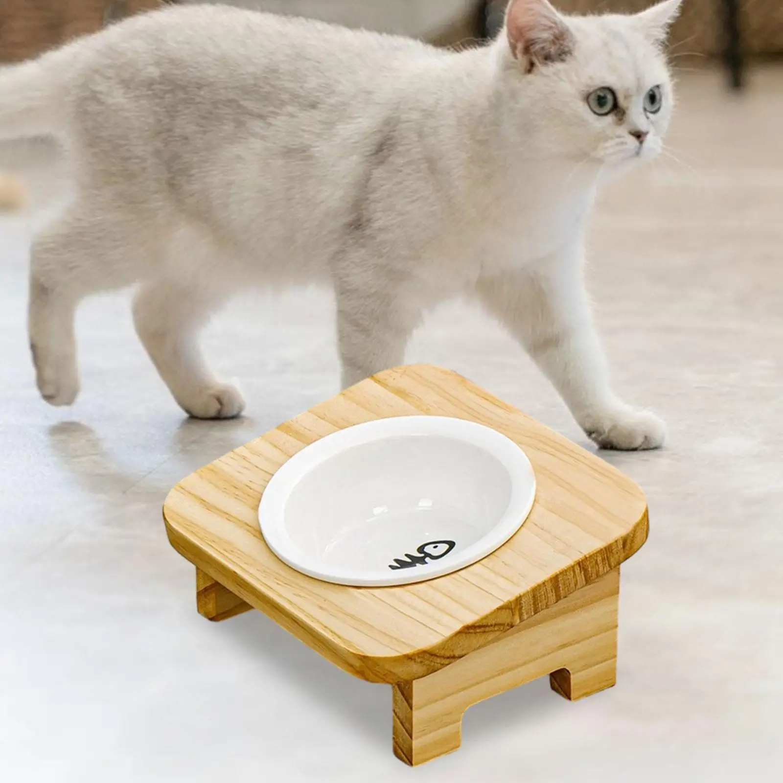 Pet Bowls Water Dish Durable 15° Tilted Elevated Cat Bowl Ceramic Food Feeder for Kitten Puppy Small Dogs Non Slip No Spill