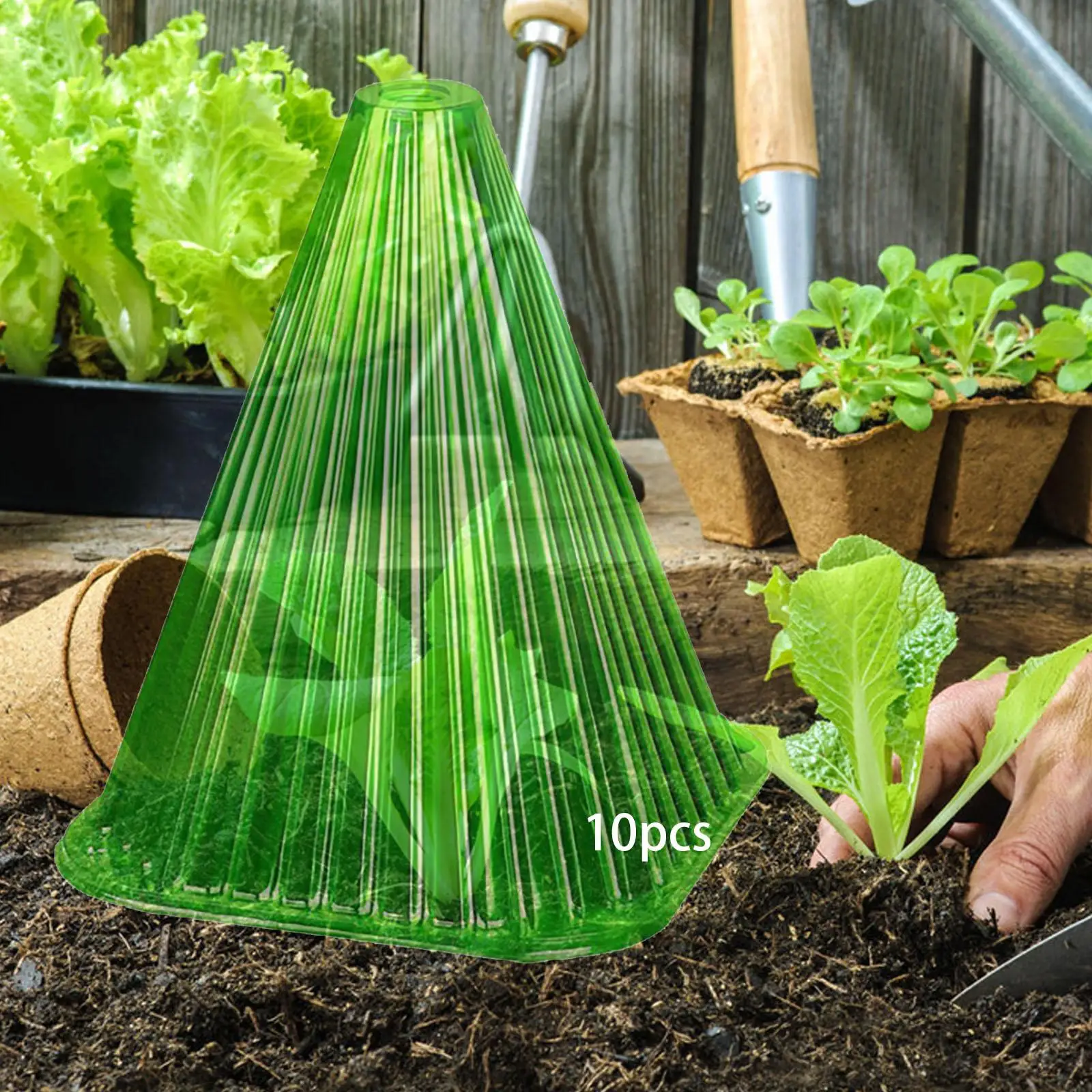 Protector de plantas reutilizable, Mini campana de invernadero, tarro, zuecos, cúpula de plantas, cubierta de plantas para Parque, patio trasero, granja al aire libre, 10 piezas