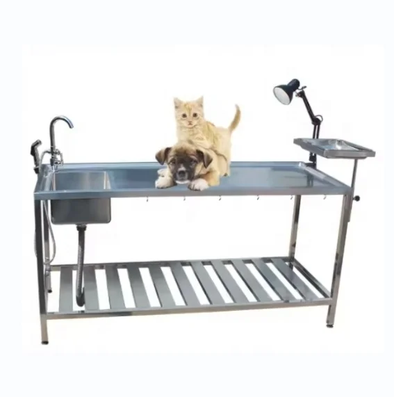 304 Stainless Steel Veterinary Operating Table with Washbasin and Faucet Animal Anatomy Table for Pet Hospitals