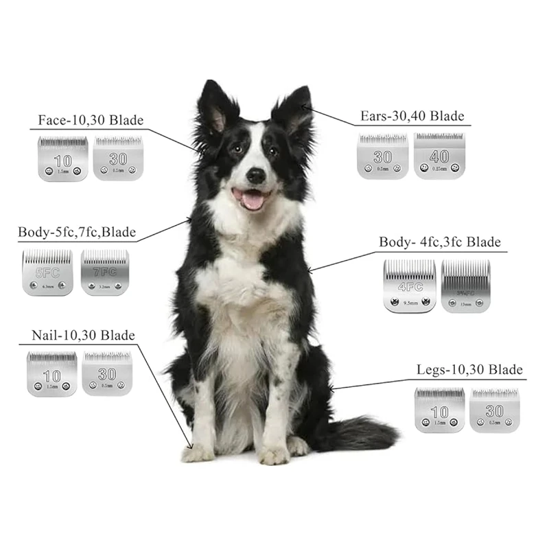 Professional Pet Dog Clipper Blade Fit Most Andis,Oster A5,wahl KM Animals Clippers Grooming Hair Trimmer image 3