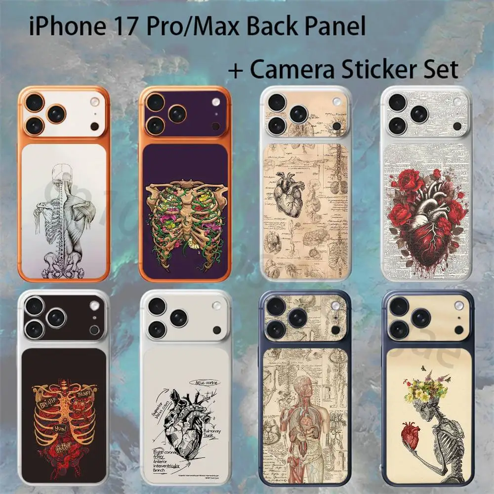 

Медицинская анатомическая наклейка-пленка для iPhone 17 Pro Max/17 Pro, полноэкранная, цветная, защитная, на заднюю панель