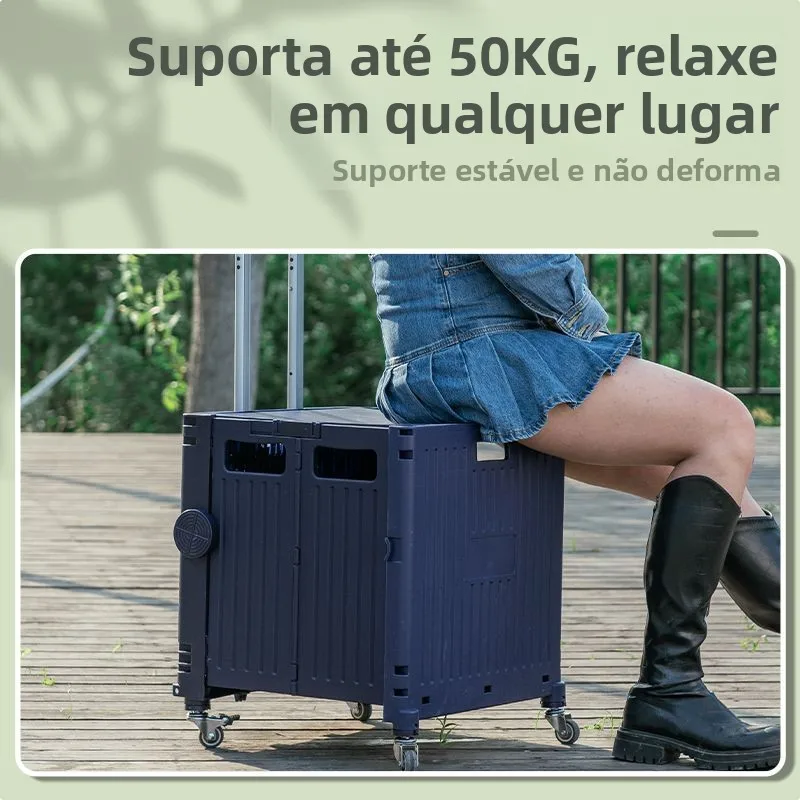 chariot-de-courses-pliable-et-portable-xinjiang-cai-la-chiavara-en-acier-inoxydable-chariot-a-roulettes-pour-la-vente-ambulante-l'achat-de-legumes-et-l'usage-domestique