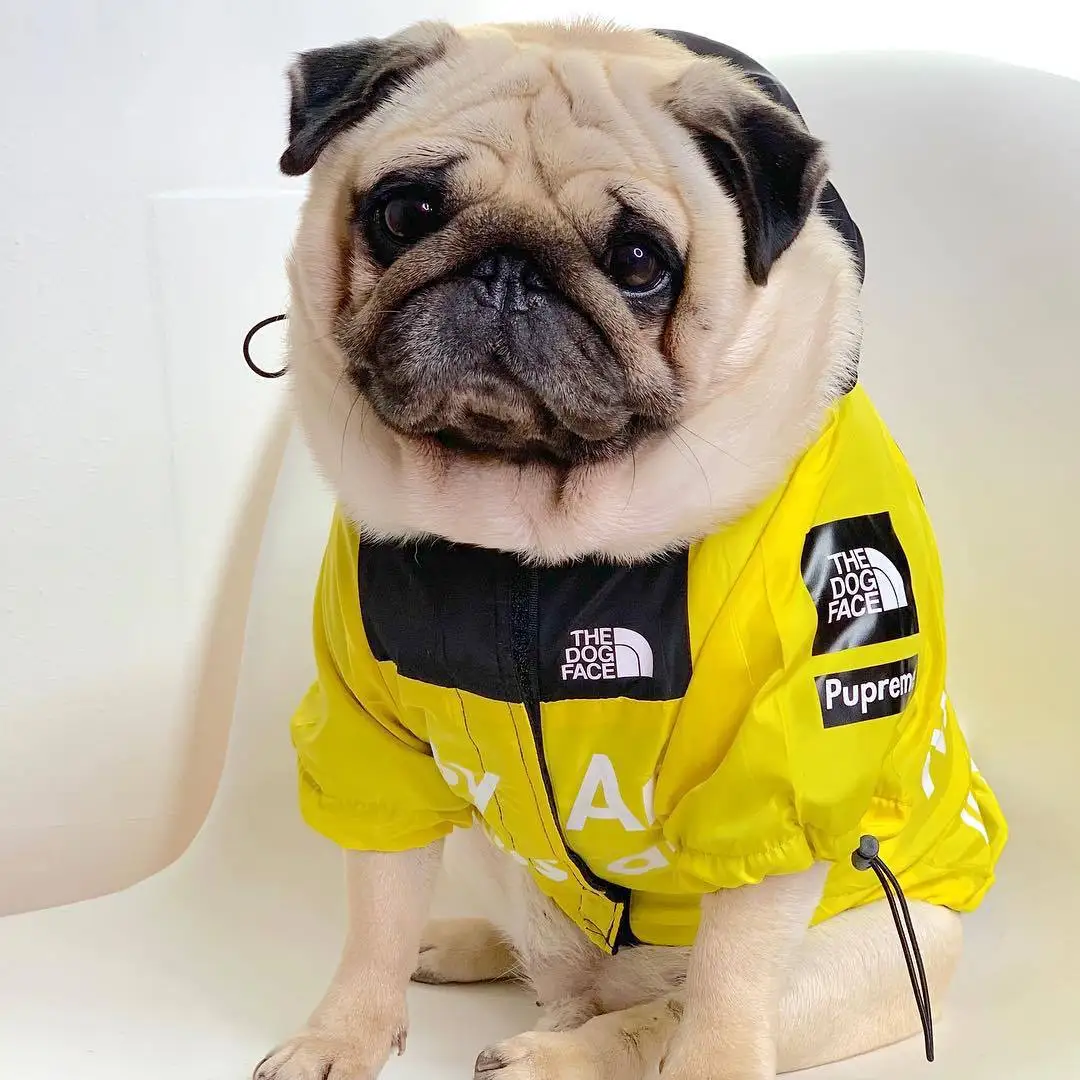 Dog Clothes Raincoat For Small Big Dogs Wind Coat Windbreaker French Bulldog Hoodie For Dogs Clothes Jacket Chihuahua Dog Face