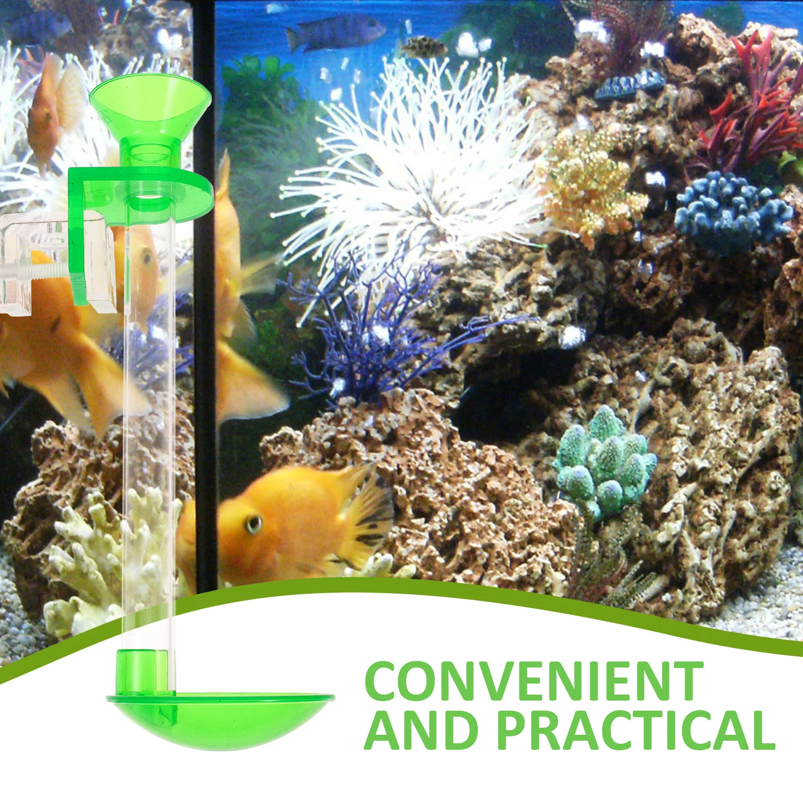 

1Set Aquarium Shrimp Feeder Transparent Premium Acrylic Adjustable Fish Vacation Feeder for Crystal Shrimp Crab Clam Tropical