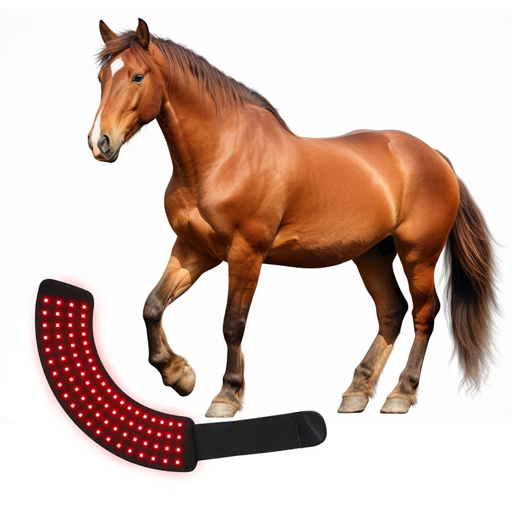 

Red Light Therapy 660nm 850nm Horses Care Products Near Infrared Hoof Treatment Horseshoe wrap