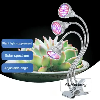 Lumière LED de croissance des plantes d'intérieur, lumière de remplissage succulente intégrée à plusieurs têtes, lumière pour fleurs et légumes