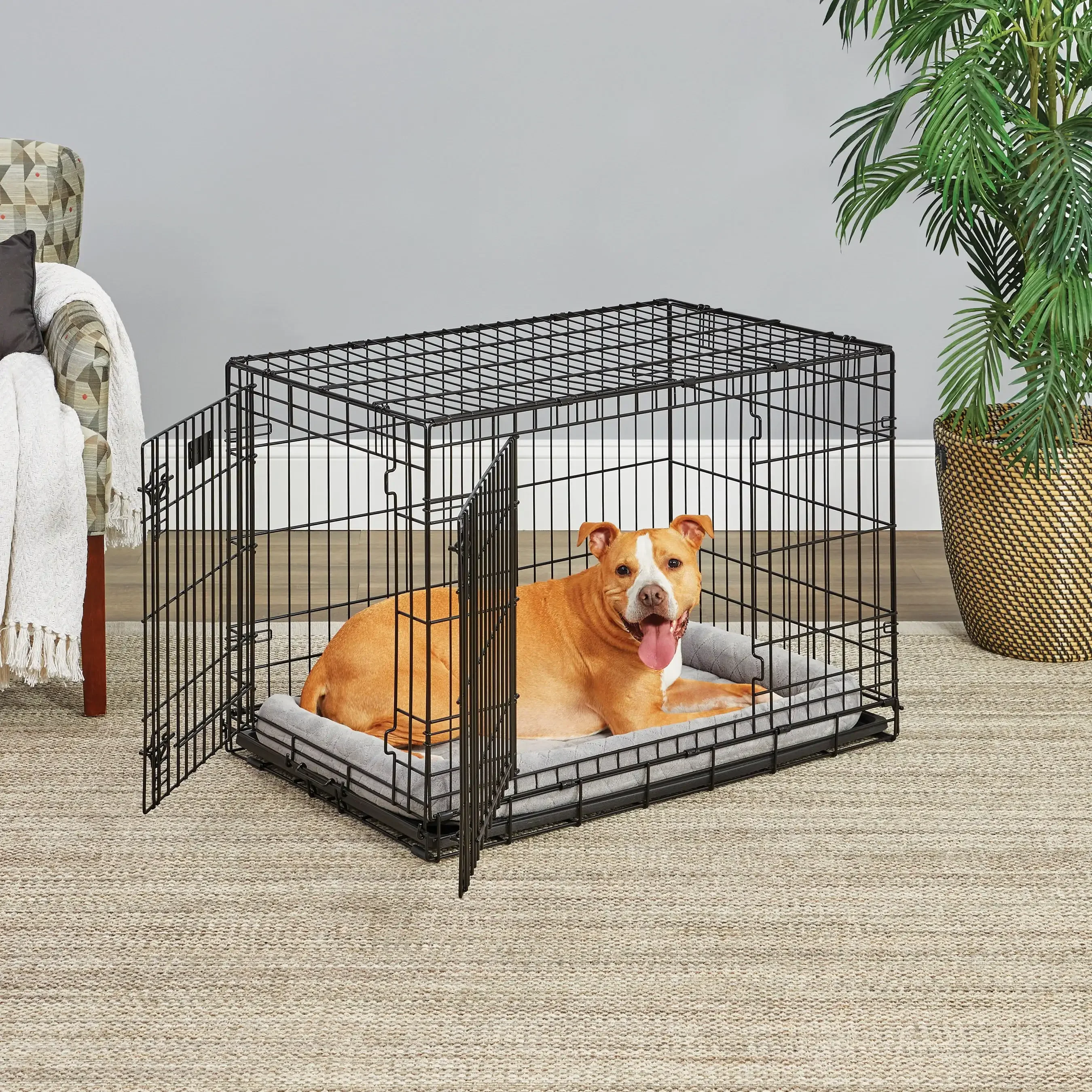 

Homes for Pets Medium Dog Crate Newly Enhanced LifeStages 36' Double Door Folding Metal Dog Crate with Divider Panel