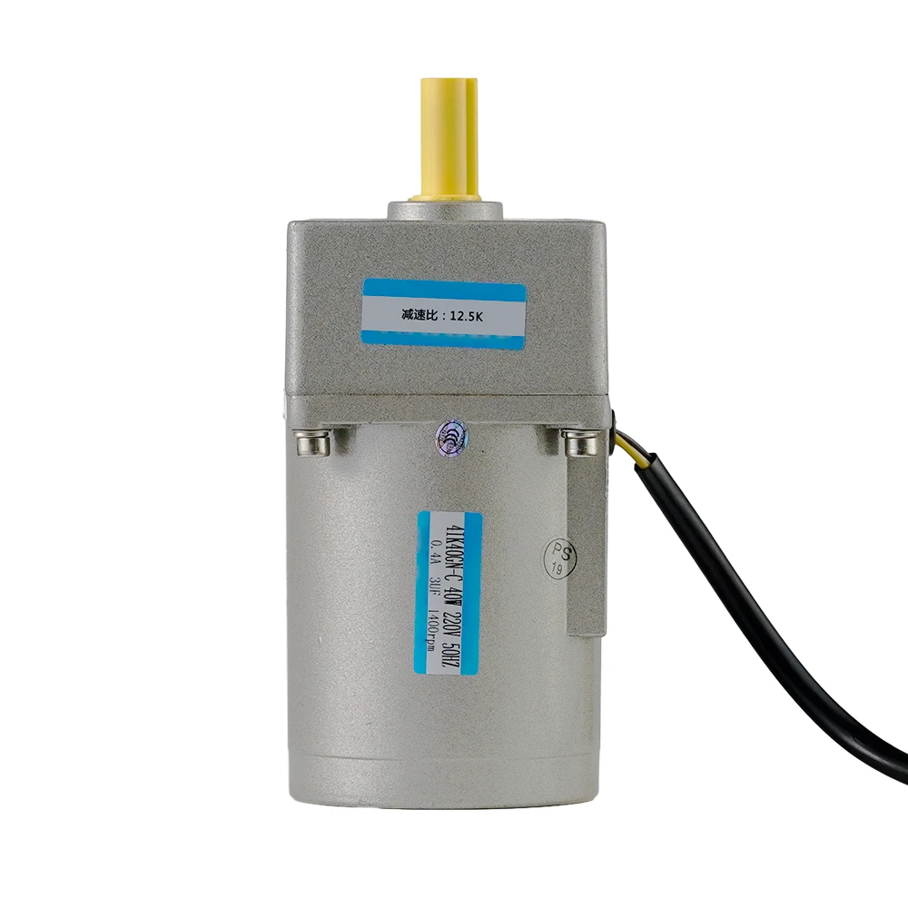 

15W 93rpm 1.59Nm Single Phase 110V AC Induction Variable Gear Motor with Gearbox