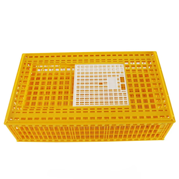 

cheapest price plastic poultry transport cage,coop,box,crate