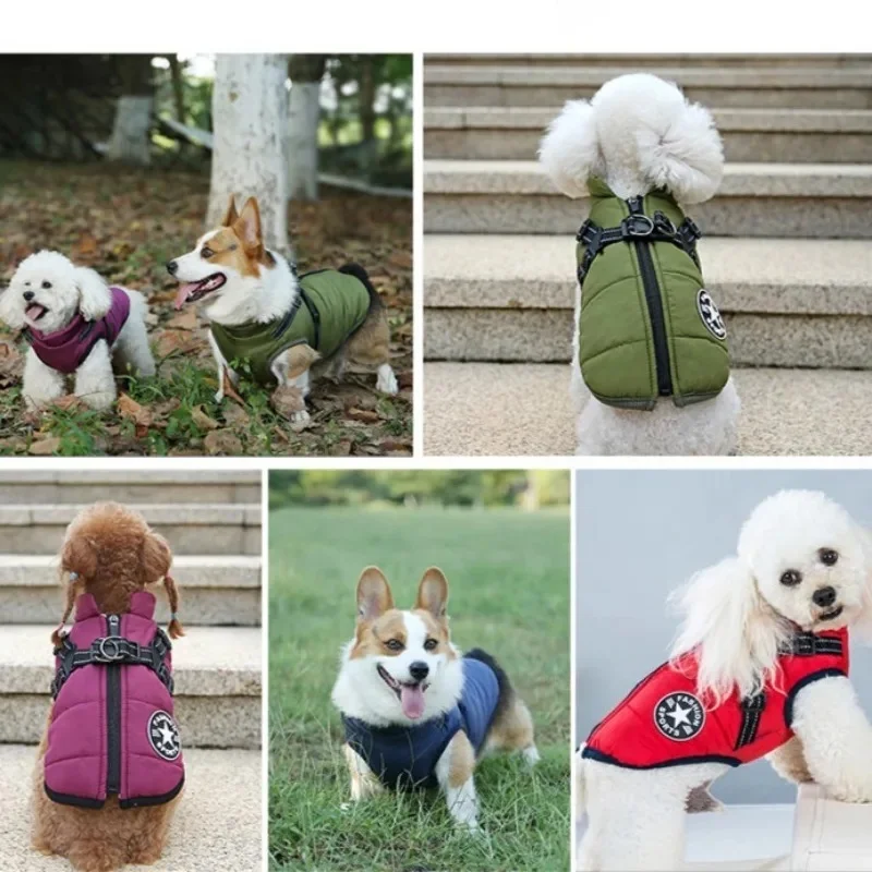 Thumbnail 4 - #3 Pet Harnesses List of Top Picks