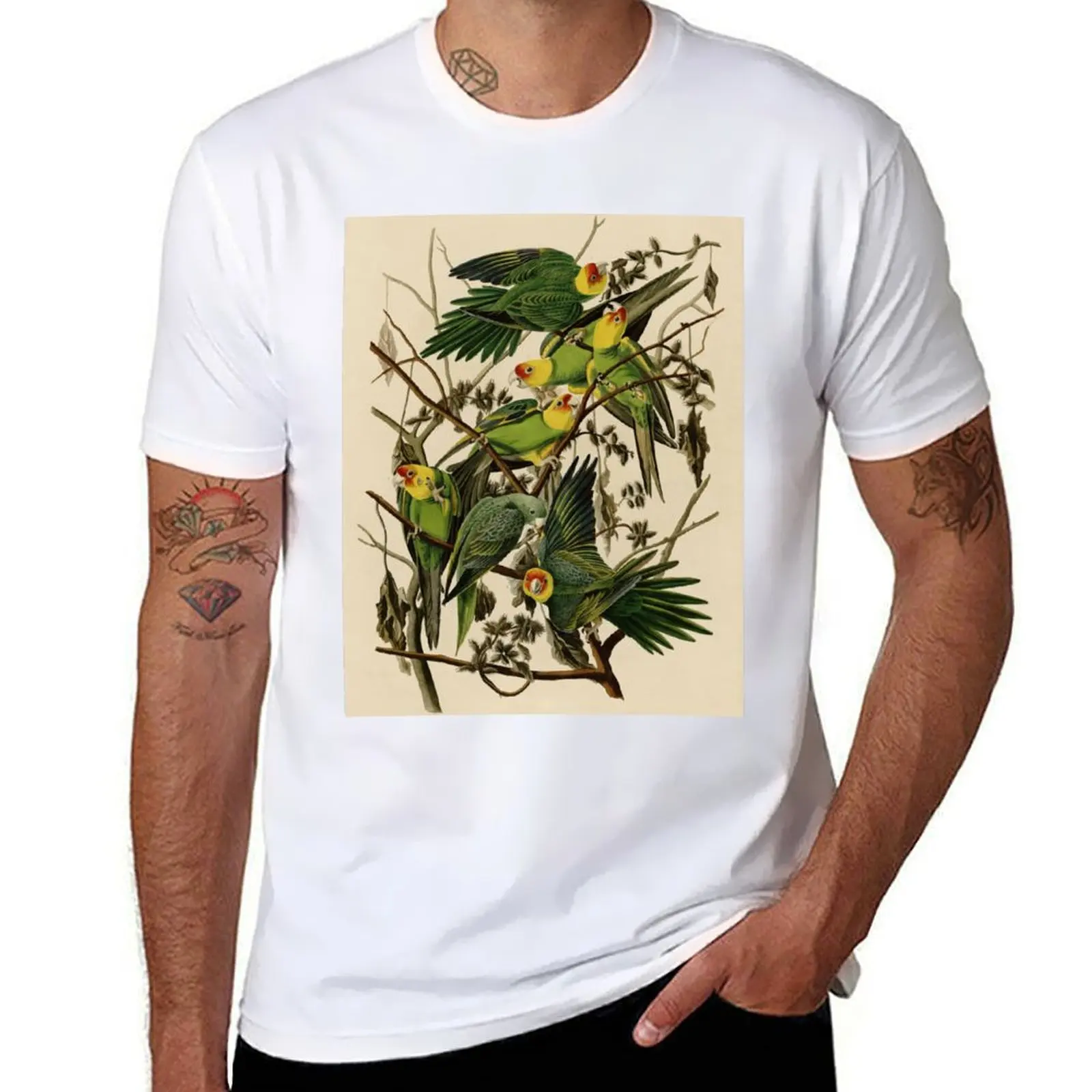 

Vintage Parrot Illustration T-Shirt printed t shirts for man cotton t shirt pack man t shirts for men T-Shirt
