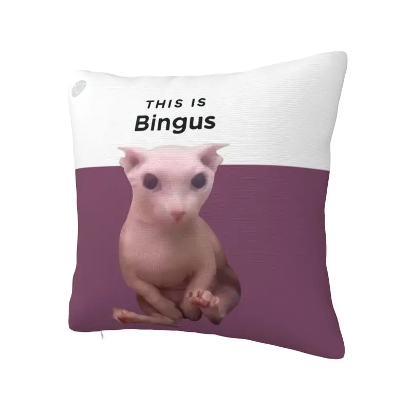 Cool This Is Bingus Square Pillow Case Home Decor 3D Double-sided Printed Kawaii Sphynx Cat Cushion Cover for Living Room