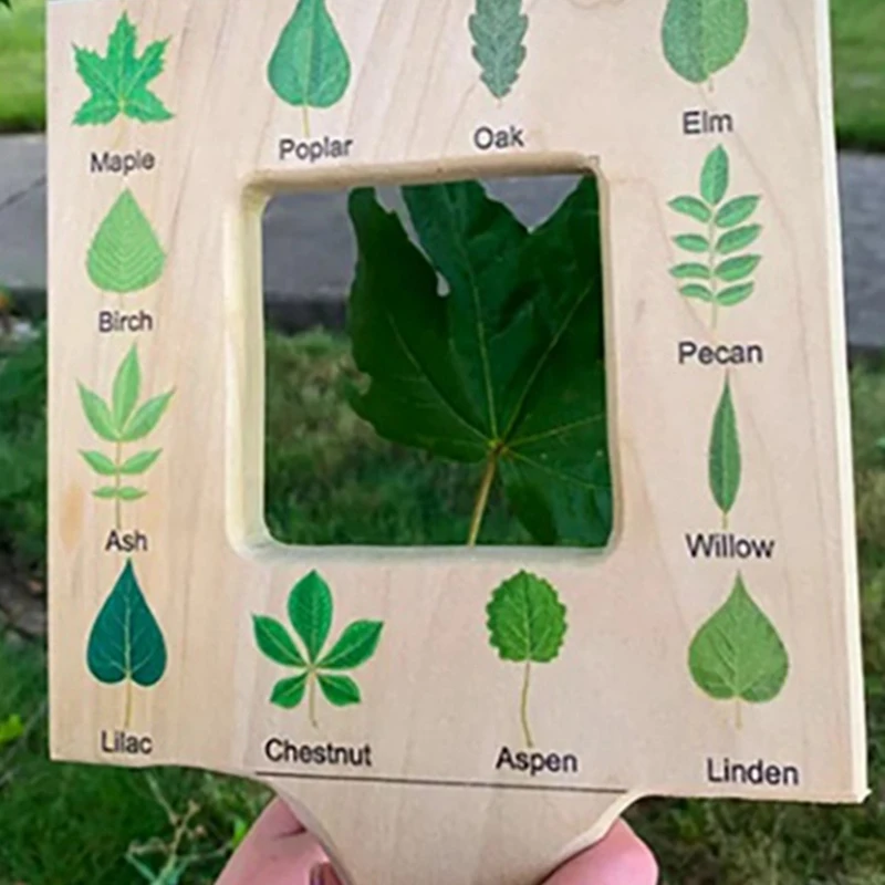 Nature Guide Finder Toddler Wooden Handheld Toy Double-Sided Board Outdoor Plant Children Easy Install -D