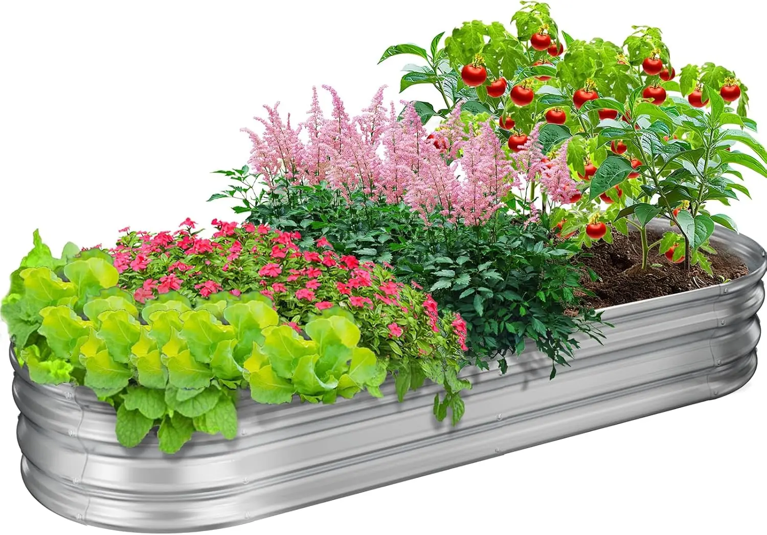 

Оцинкованная овальная металлическая грядка-клумба для садоводства на открытом воздухе, комплект для приподнятого грядкового землесборника, модель B