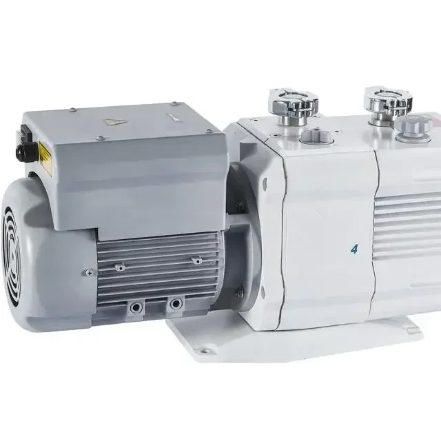 

RV4 Electric Rotary Vane Vacuum Pump 220V Mechanical Positive Displacement 1000W Power OEM Supported Equipment