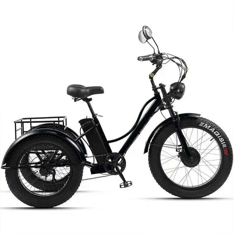 

3 Wheel Fatbike Electric Bike 750W 48V 18AH 7-speed Transmission Powerful 24 Inch Electric Tricycle For Cargo Removable Battery