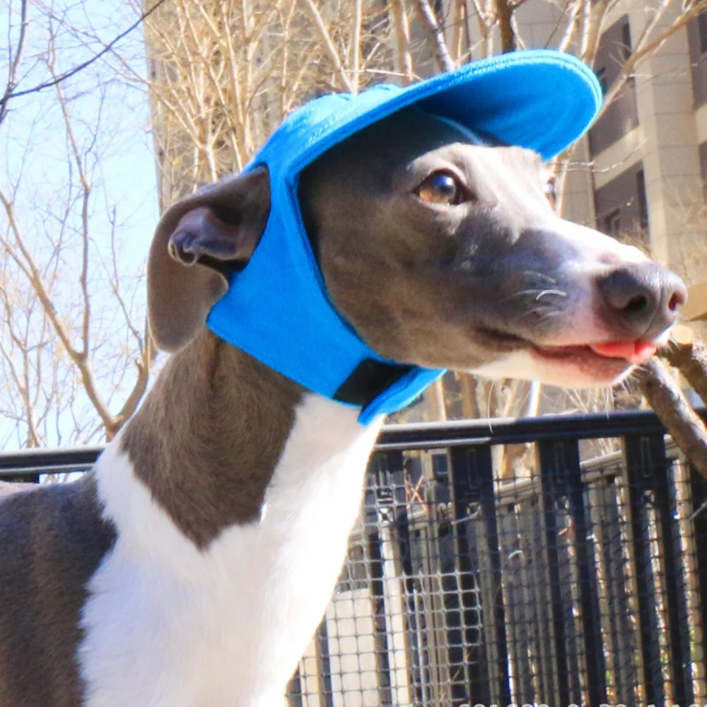 Whippet Summer Macaron Color Sun Protect Hat Velcro Adjustable Italian Iittle Greyhounds Fashion Head Decoration for Photograph