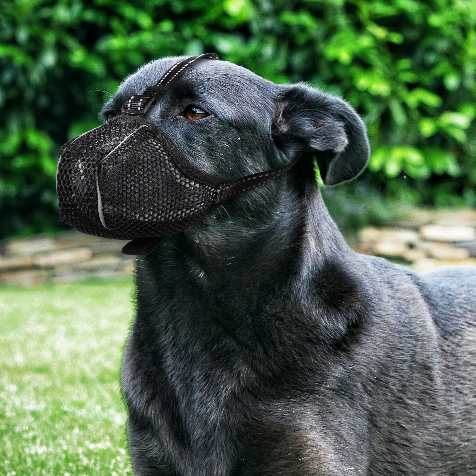 

Adjustable Mesh Dog Soft Breathable Small Medium Puppy For Biting Chewing Prevention Vet Grooming Training L Size Pet Supplies