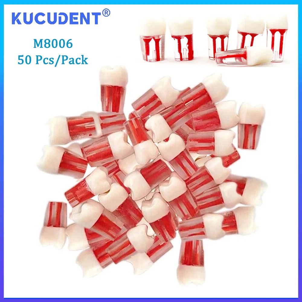 

KUCUDENT 50 шт. блок корневых каналов зубов эндодонтическая модель для обучения зубами эндодонтическая RCT пульповая полость практика смола обучение стоматологии