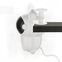 Rompecabezas láser infrarrojo con plumas para gatos