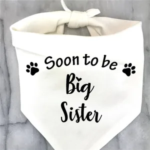 Big Brother und Big Sister Dog Bandana, Schwangerschaftsanzeige, Genre enthüllen Foto -Prop, Haustier -Cachecol -Zubehör 8 Hauptverkaufskleid -Offenbarung Tee - №4