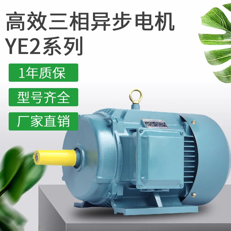 Three-phase asynchronous motor YE3-315S-2 110KW2P (110 kW 2-pole)