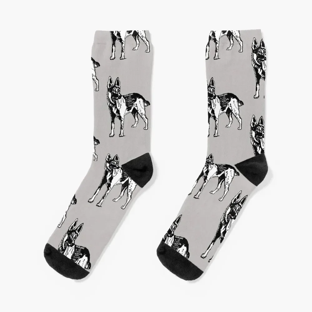 

German Shepherd with Descriptive Words Graphic Black and White Socks Run floor ankle christmas gifts Socks Man Women's