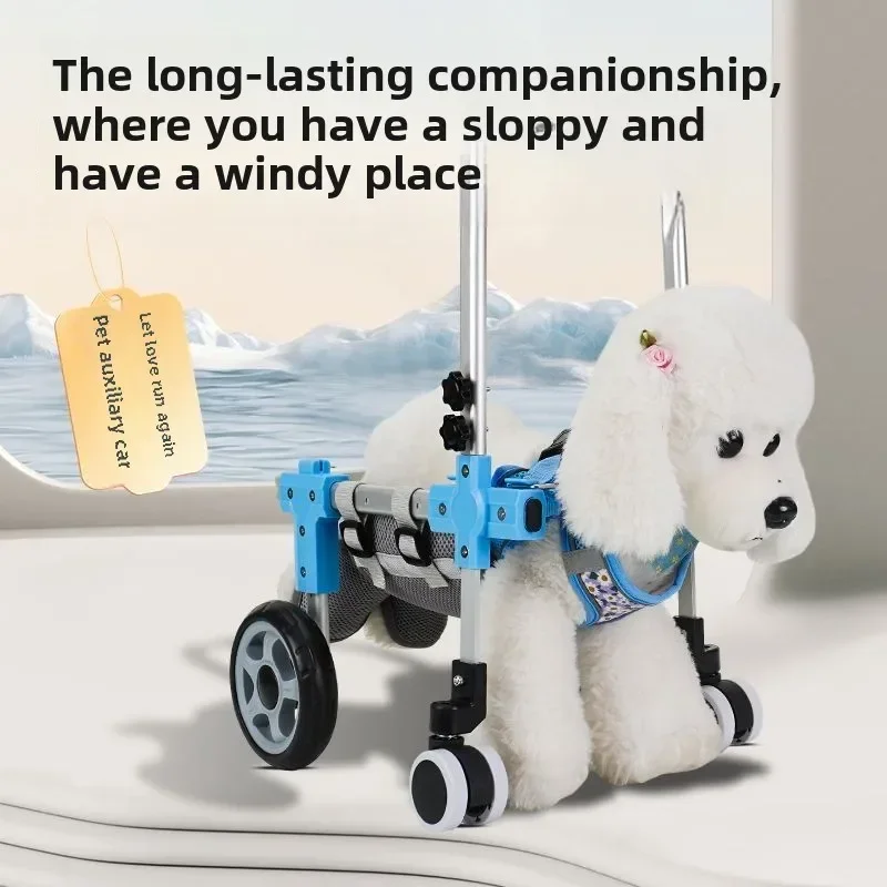 Thumbnail 2 - #12 Ranked Pet Agility Equipment Picks in 2026