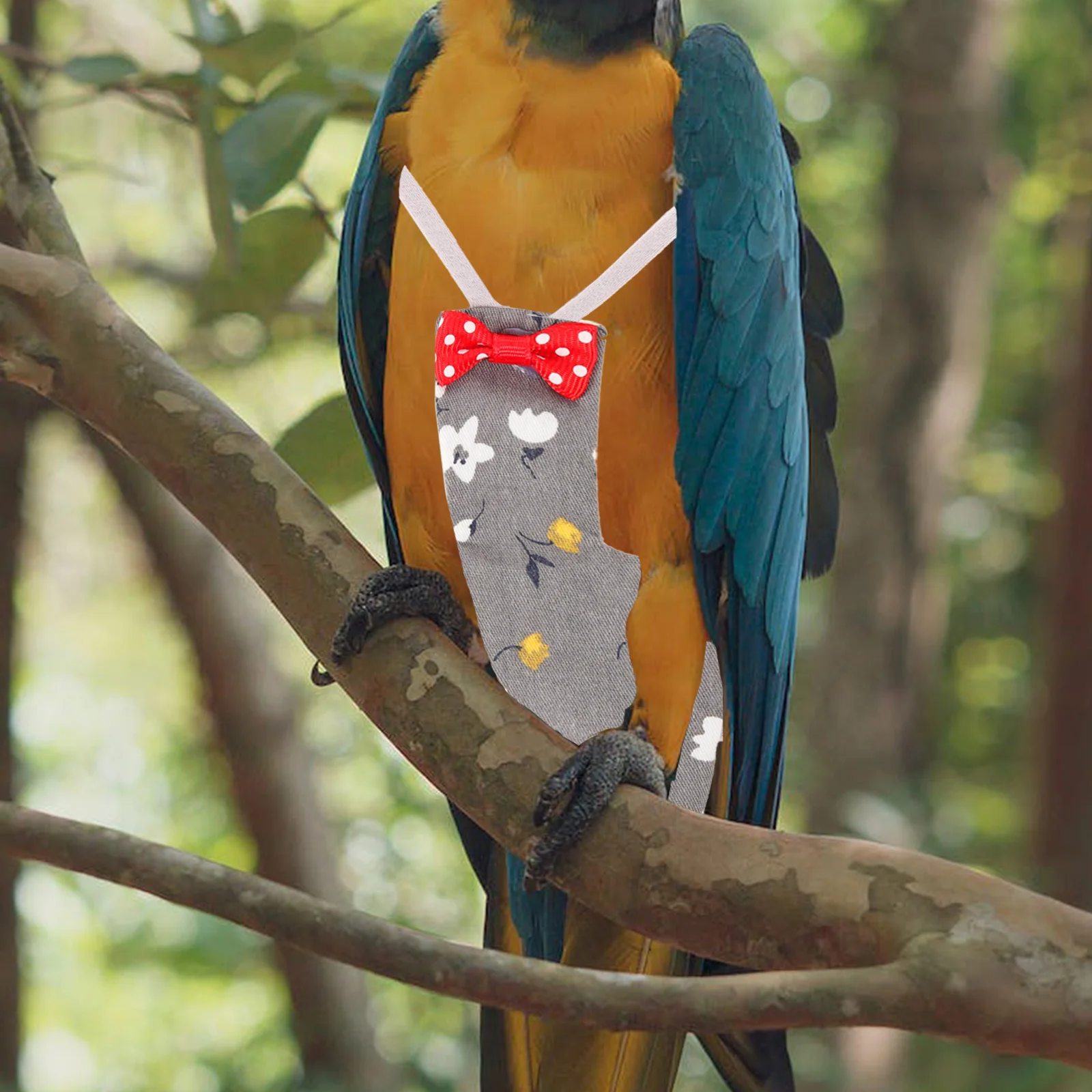 حفاضات الببغاء بدلة الطيران الحفاض ملابس تنفس للطيور الصغيرة مستلزمات الحيوانات الأليفة حفاضات الطيور حفاضات الببغاء