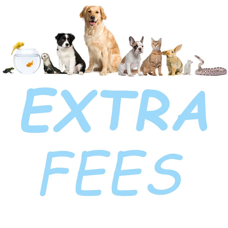 

Extra fees/ delivery cost / additional expenses/ price difference