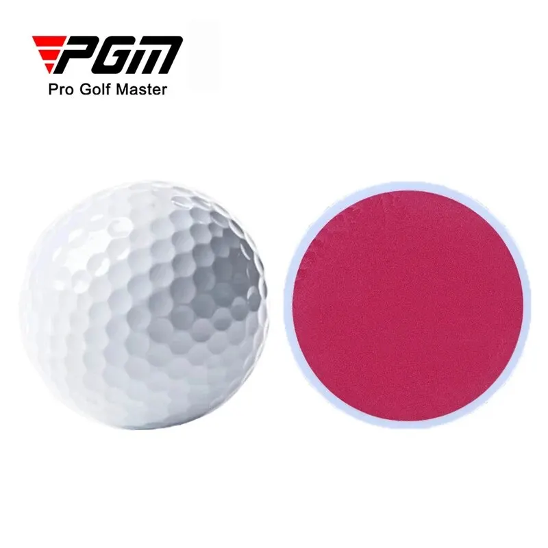 PGM 10pcs Double Layer Golf Balls Golf Swing Putting Practice Ball White Standard Blank Golf Ball Q003