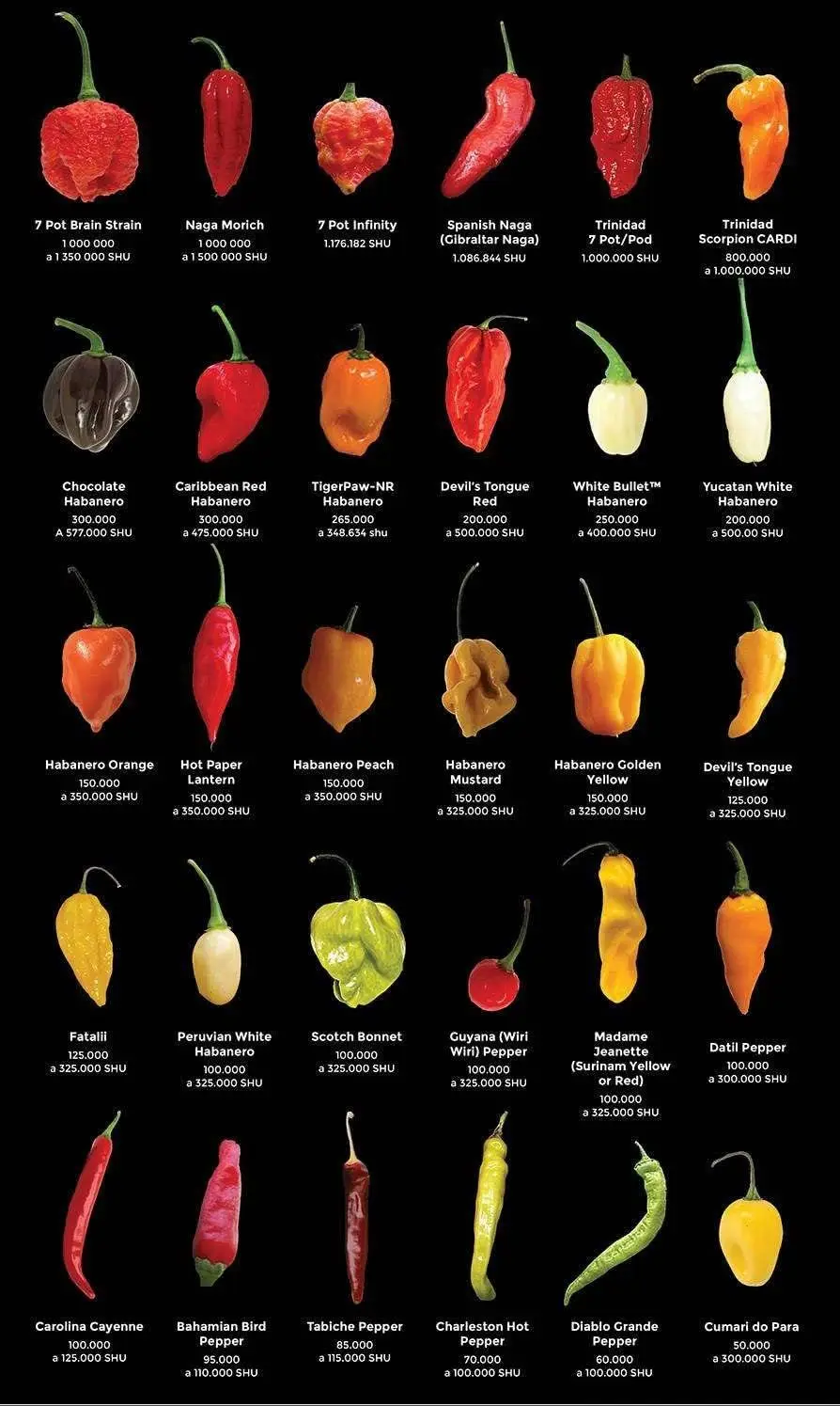 The Big List of hot Peppers, Hot World of Chili Vintage Home Decor Poster Decor Poster Wall Art Tin Sign Decor Metal Sign Poster