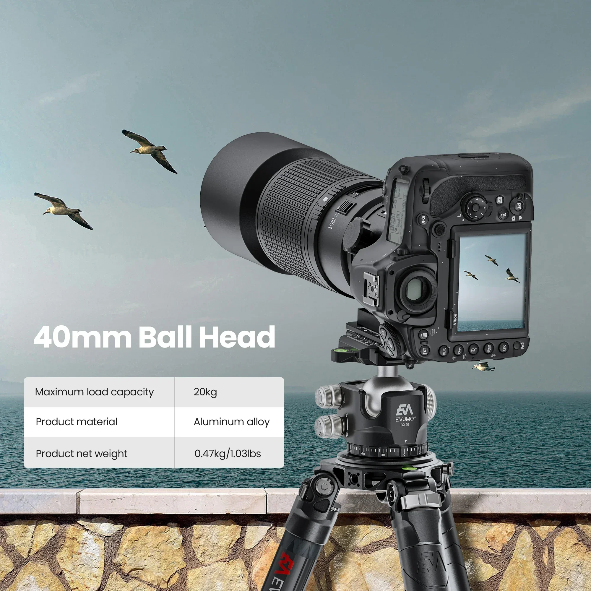 EVUMO DX40 Tripod Ball Head 40mm Low Gravity Low Profile Tripod Head Arca Swiss Quick Release Plate 1/4\