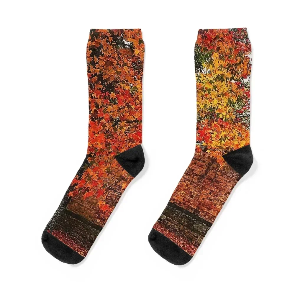 

Autumn colour Socks Stockings man hiking sports and leisure luxe Designer Man Socks Women's