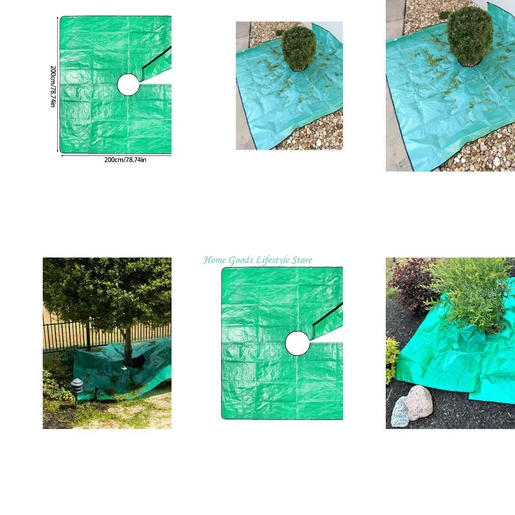 E74E Efficient Coll…