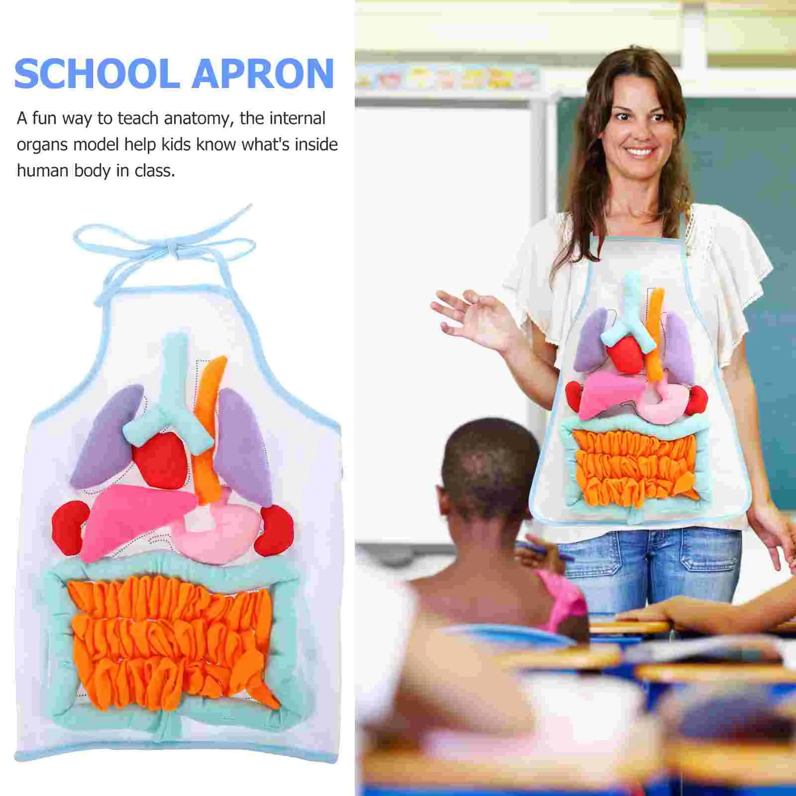 Children Anatomy Apron Human Body Organs Awareness Preschool Science Home School Teaching Aids Toys