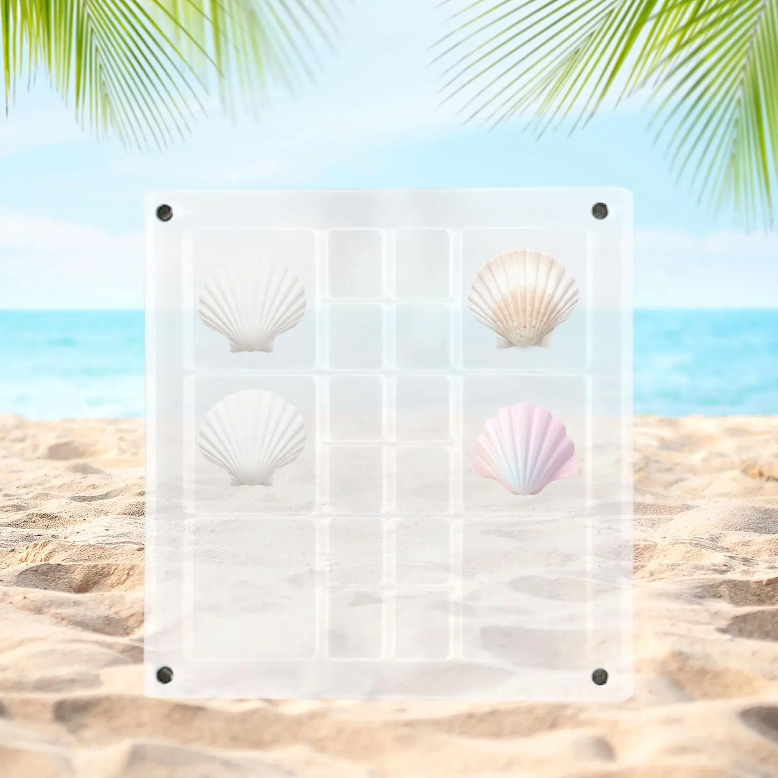 

Shell Storage Container Square Shell Collectors Gift Acrylic Seashell Display Box Clear for Trinket Beads Starfish Nail Jewelry