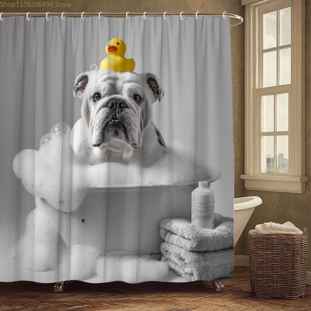 

1pc Bulldog in Bathtub Shower Curtain with Rubber Duck - Cute English Bulldog Bath Decor, Polyester Fabric Bathroom Curtain 70