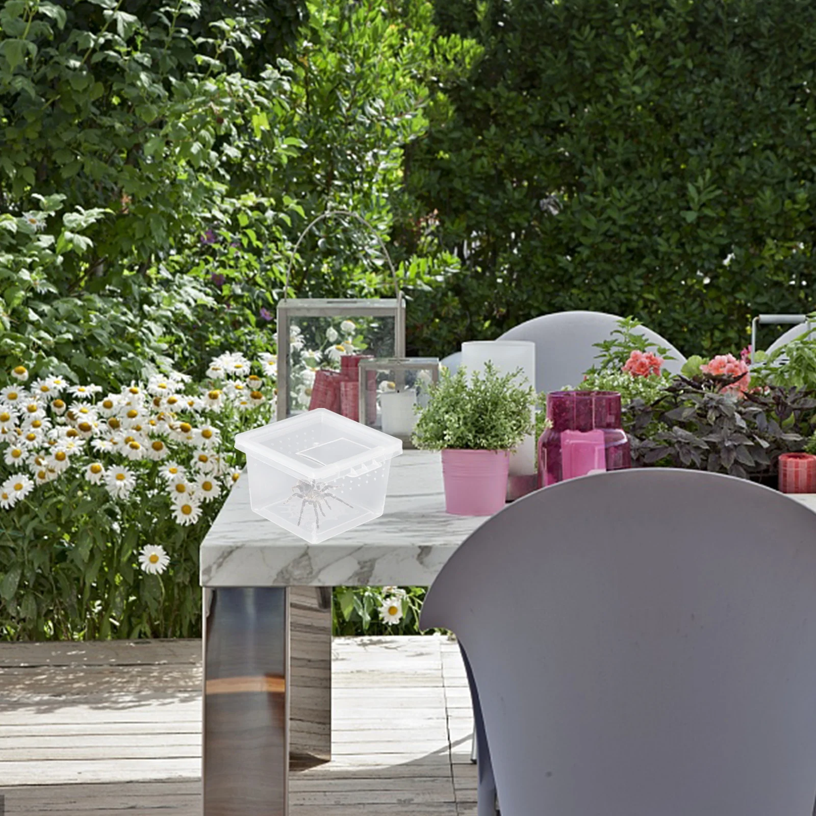 

10pcs Pet Spider Box Mini Feeding Container Reptile Breeding Box Lightweight Durable No Punch Needed Creeper House Feeder Case