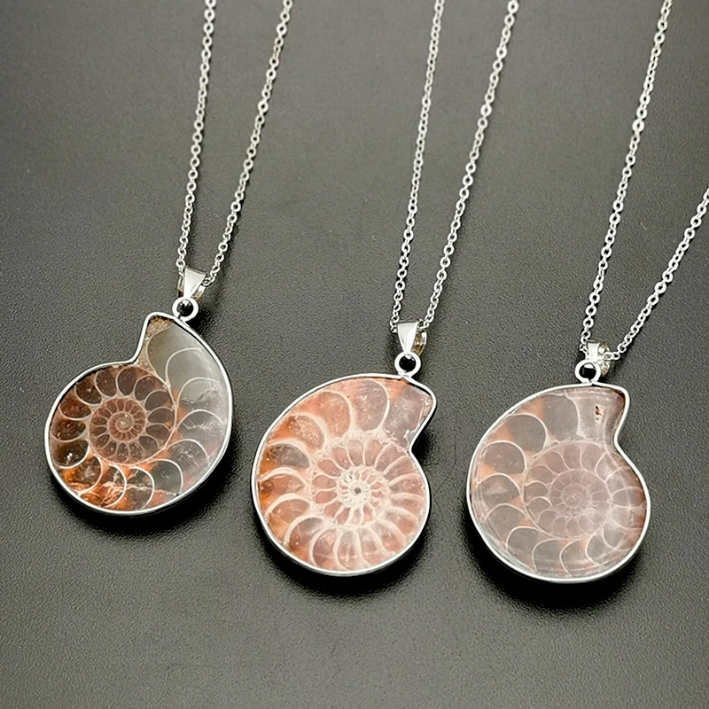 Natural Stones Pendants Necklace Ammonite Seashell Snail Ocean Reliquiae Conch Animal Raw Stone Necklace Men Jewellery