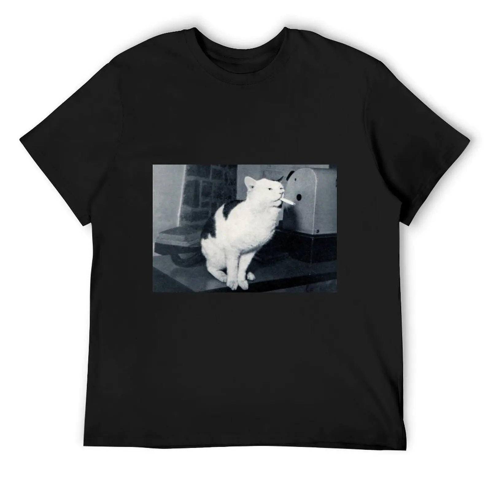 

Veteran Cat on Smoko T-Shirt gifts for boyfriend summer top tees tee shirts for men