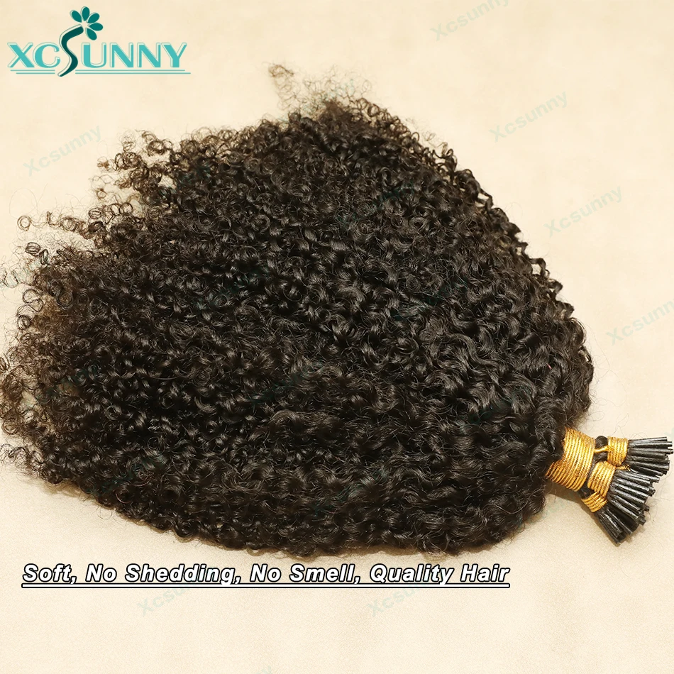 Kinky Curly I Tip Microlinks Human Hair Burmese Itip Curly Hair Extensions I Tips Human Hair For Black Women