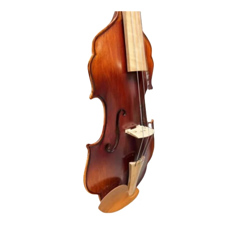 Unique design,4/4 Violin without rib, Carved dragon Scroll No rib Violin