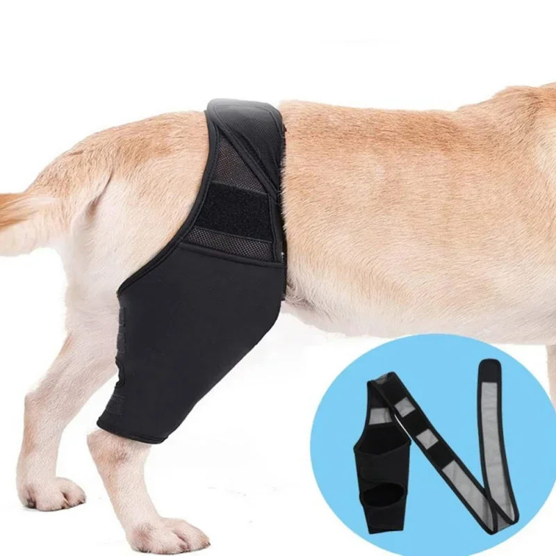 Pet Knee Pads For Joint Injury Recovery Legs Protector Dog Leg Support Protector Post-operative Fixation Dog Supplies