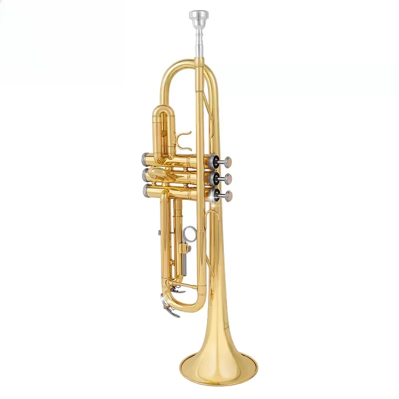 

LTR-508L Wind Musical Instruments Bb Key Bullfighter Standard Surface Gold Lacquer Head Bakelite Brass Trumpet