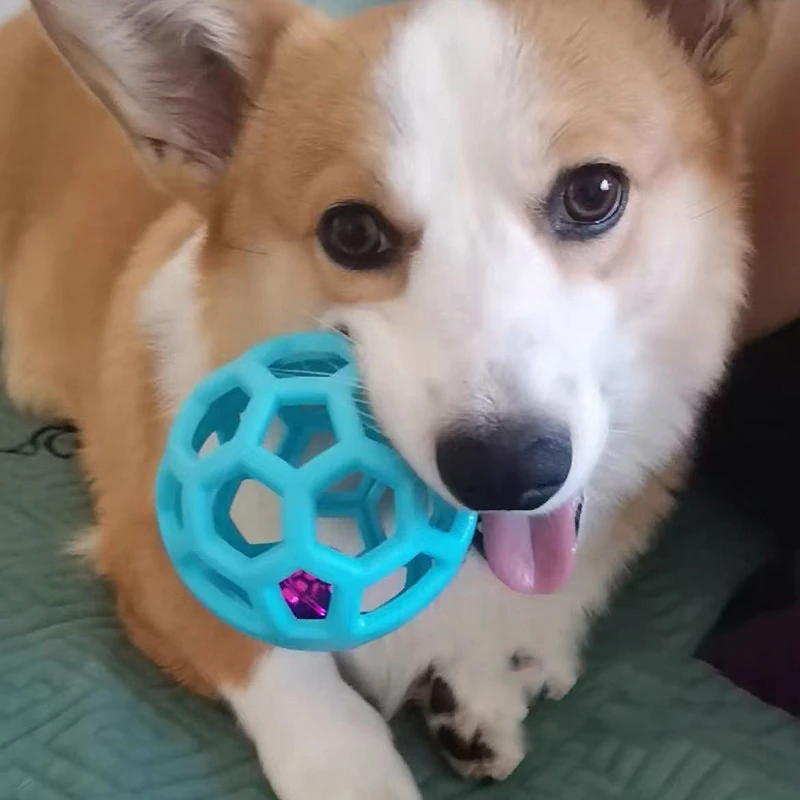 Thumbnail 3 - #78 Best Puppy Balls to Buy In 2026