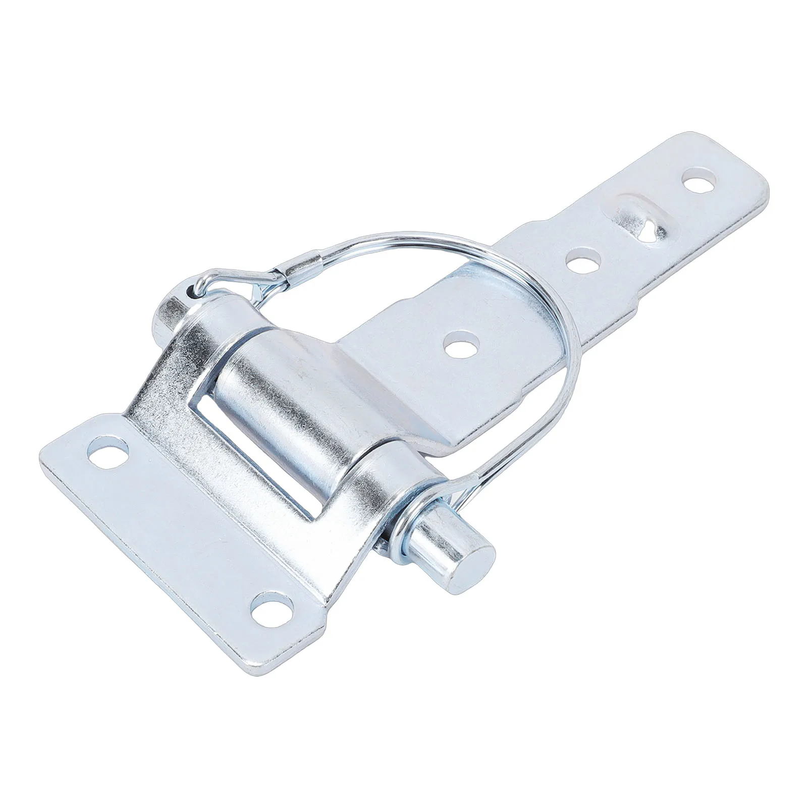 

D Type Car Detachable Steel Hinges Zinc Plating Trailer Door Hinge for Trailers Trucks Vans Caravans Horse Trailers