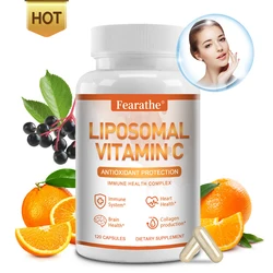 Liposomal Vitamin C - High Absorption Vitamin C, Immune System & Collagen, Antioxidant Support Ascorbic Acid Supplement