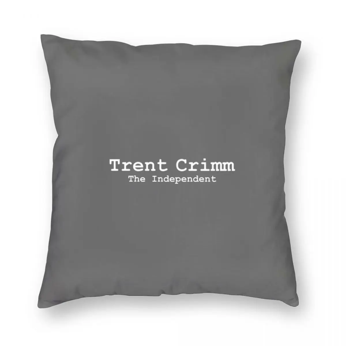 Ted Lasso Trent Crimm The Independent Square Pillowcase Polyester Linen Velvet Pattern Zip Throw Pillow Home Cushion Cover